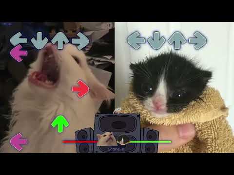 High BUT ITS THURSTON VS TOWEL Kitten(Friday Night Funkin Week 4)