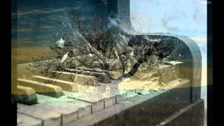 Virgin Black- ...and I Am Suffering