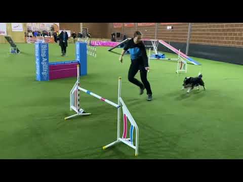 Taki A1 @Bing.Agility cup (2022.02.12.)