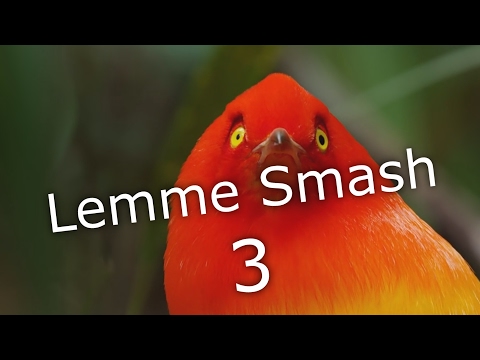 Lemme Smash || Becky Lets Ron Smash