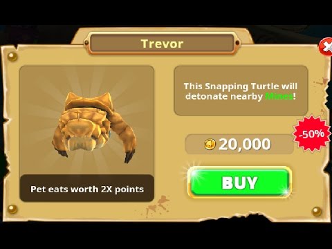 TREVOR PET ! - HIGHSCORE MEGALODON Level 21/30 - Hungry Shark World