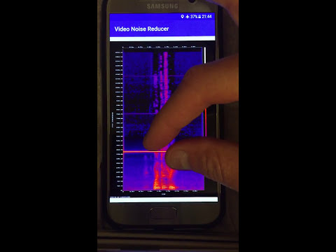 Video Noise Reducer Video
