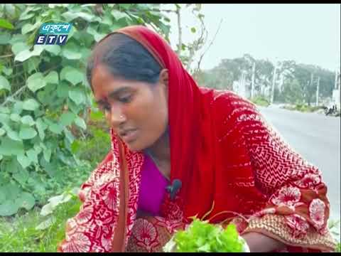 ঢাকা-চট্টগ্রাম মহাসড়কে চাষাবাদ করছে ফেনীর শতাধিক কৃষক | ETV News