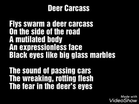 Deer Carcass by Lauren Gibson