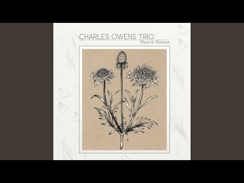 Bedroom (Live) online metal music video by CHARLES OWENS (1972)