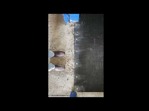 Agnes Banks video thumbnail