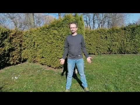 Diverse exercitii de energizare