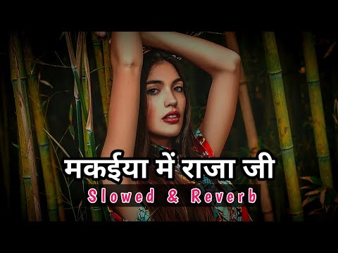 मकईया में राजा जी || Slowed And  Reverb Song || ROHIT'S LO-FI ||