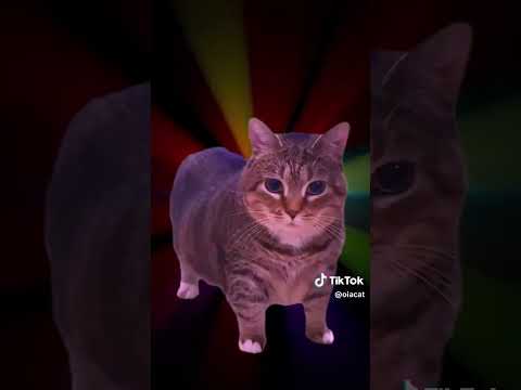 22 de diciembre de 2024