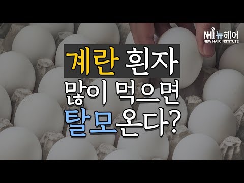 탈모 오는 것이 계란 흰자 과다복용?  - 뉴헤어 I 모발이식 I 탈모QnA I