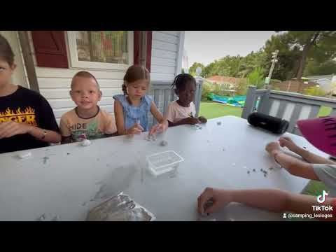 Flower Camping Les Loges - Camping Charente-Maritime - Image N°37