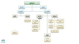 صورة التأهيل الفقهي | المذهب المالكي | العبادات 12