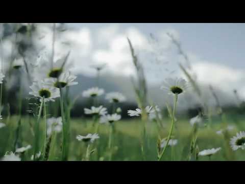 П.И. Чайковский - «Июнь Баркарола» - Tchaikovsky - The Seasons – «Barcarolle  June»