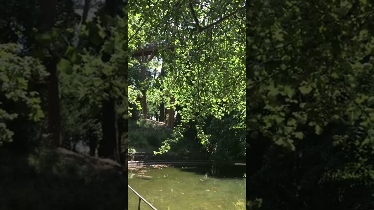 YouTube Short thumbnail