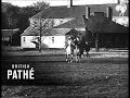 Army Training Horse 1950