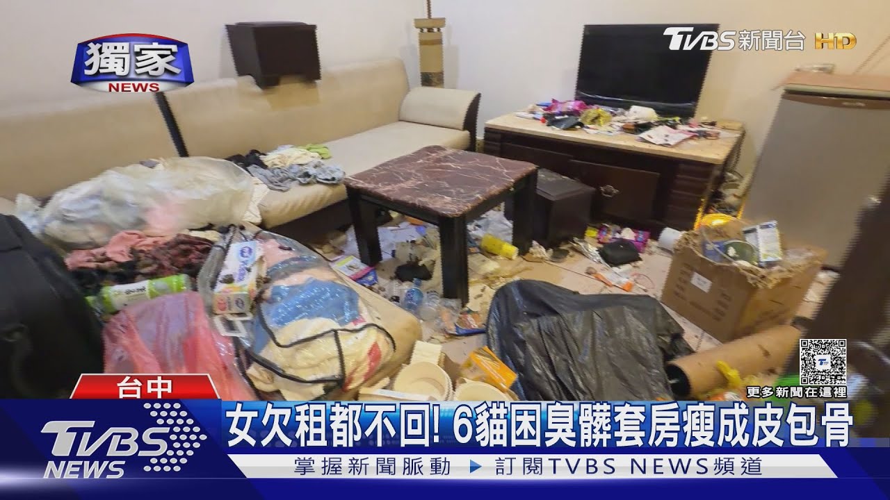 欠租8月！出租套房淪垃圾場　6貓4龜困惡臭噁爛套房中求生