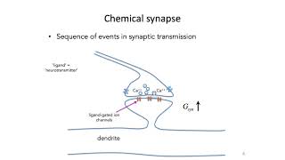 MIT 7: Synapses