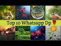Nature Dp Pictures For Whatsapp 🌿 Dp pics For Nature💐🌹🌿