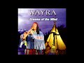 Coyote Dream - Wayra