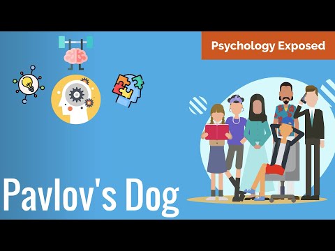 How Pavlovian Conditioning Shapes Our Behaviour (Pavlov's Dog)