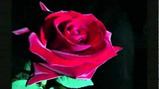 A mi madre  de Yolanda del Rio