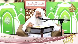 تفسير الربانيين ـ سورة يوسف ( 12 ) الآيات ( 64-69 ) هل آمنكم عليه إلا كما أمنتكم ـ اشيخ مصطفى العدوي