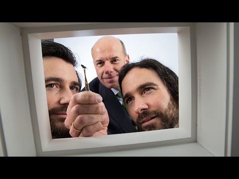 Vom Insektenkiller zum Insektenretter – Mein gutes Beispiel 2017 (Bertelsmann Stiftung)