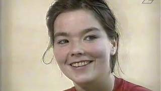 Björk about her "sexy video" Venus As A Boy (SVT Pickup 1993)
