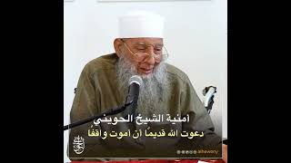 صورة أمنية الشيخ الحويني : دعوت الله قديمًا أن أموت واقفًا