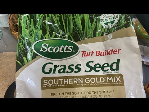 How long it takes to Germinate Fescue￼￼ grass seed