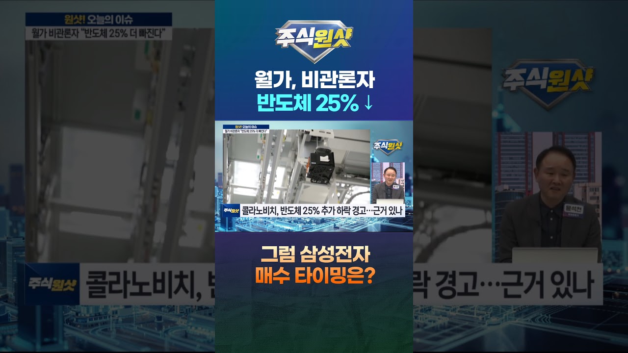 월가, 비관론자 반도체 25% ↓ 그럼 삼성전자 매수 타이밍은?