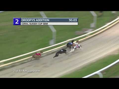2021 CORAL SUSSEX CUP - 3RD SEMI - T2 DROOPYS ADDITION