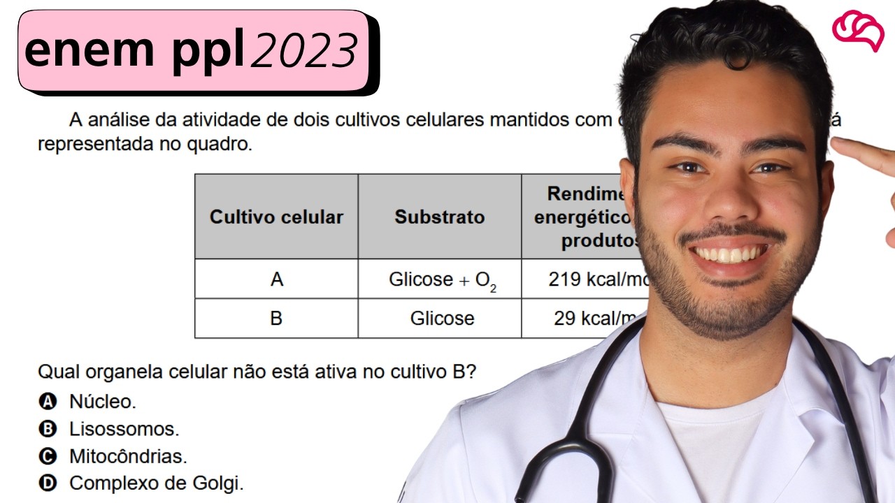 Resolução em Vídeo — Questão 115 ENEM 2023 PPL