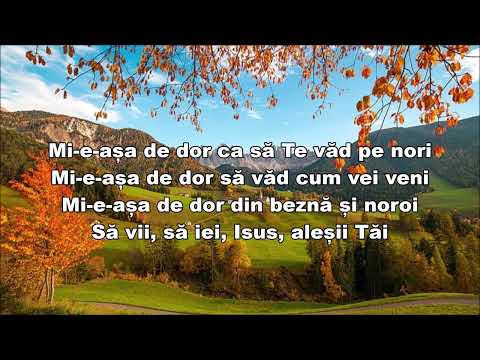 Mi-e-așa de dor Isuse, după Tine - Negativ creștin