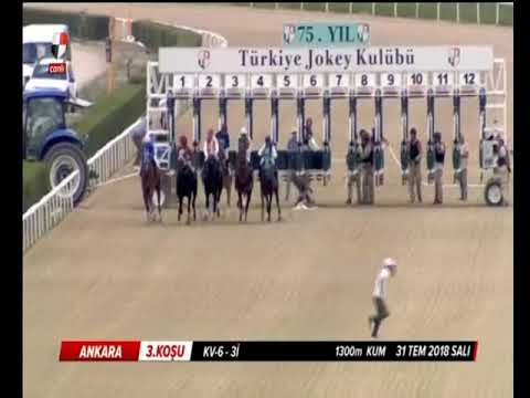 ROYAL AVŞAR               KV-6/3İ          31/07/2018        ANKARA