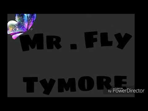 TYMORE | MR. FLY | URBAN PUNJABI SONG