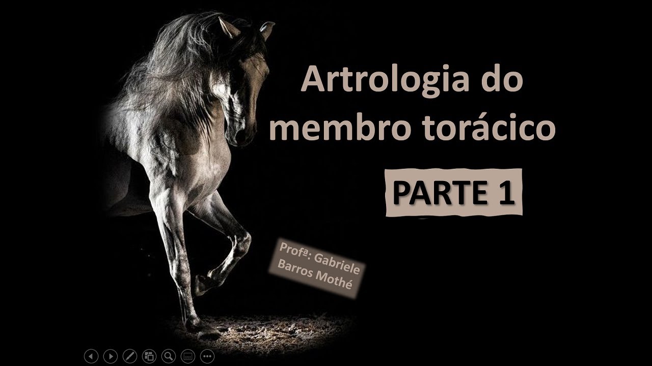 ARTROLOGIA DO MEMBRO TORÁCICO - parte 1 (anatomia veterinária)