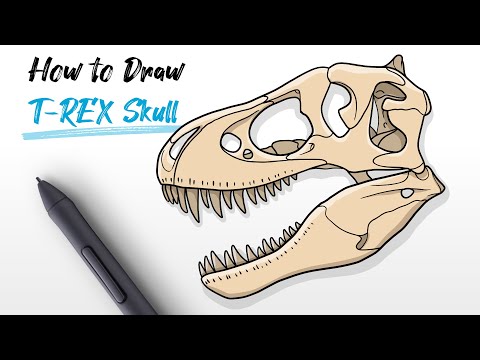 How to Draw a T-REX skull head (Tyrannosaurus Rex dinosaur bones) easy Step By Step