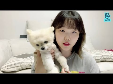 [ENG SUB] AKMU SUHYUN LIVE VLIVE 211013 | Hi!