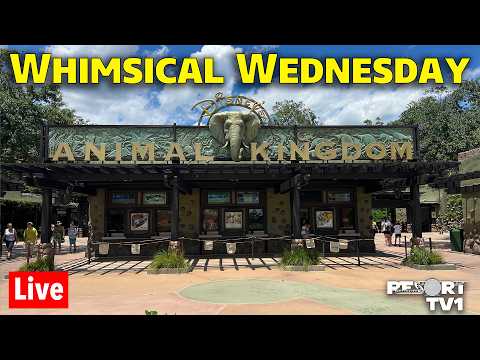 🔴Live: Whimsical Wednesday at Animal Kingdom - Walt Disney World Live Stream - 2-25-26