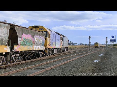7733V & 7732V Pacific National Grain Trains Cross (21/6/2023) - PoathTV Railways In Australia