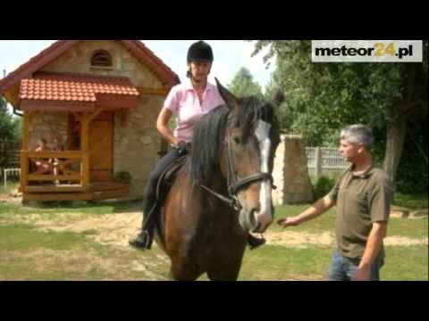 Agroturystyka Gajówka Pilica - Łęg Ręczyński meteor24.pl