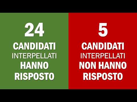 I risultati del "QUIZZONE SUI RIFIUTI" proposto ai candidati Sindaco (short version)