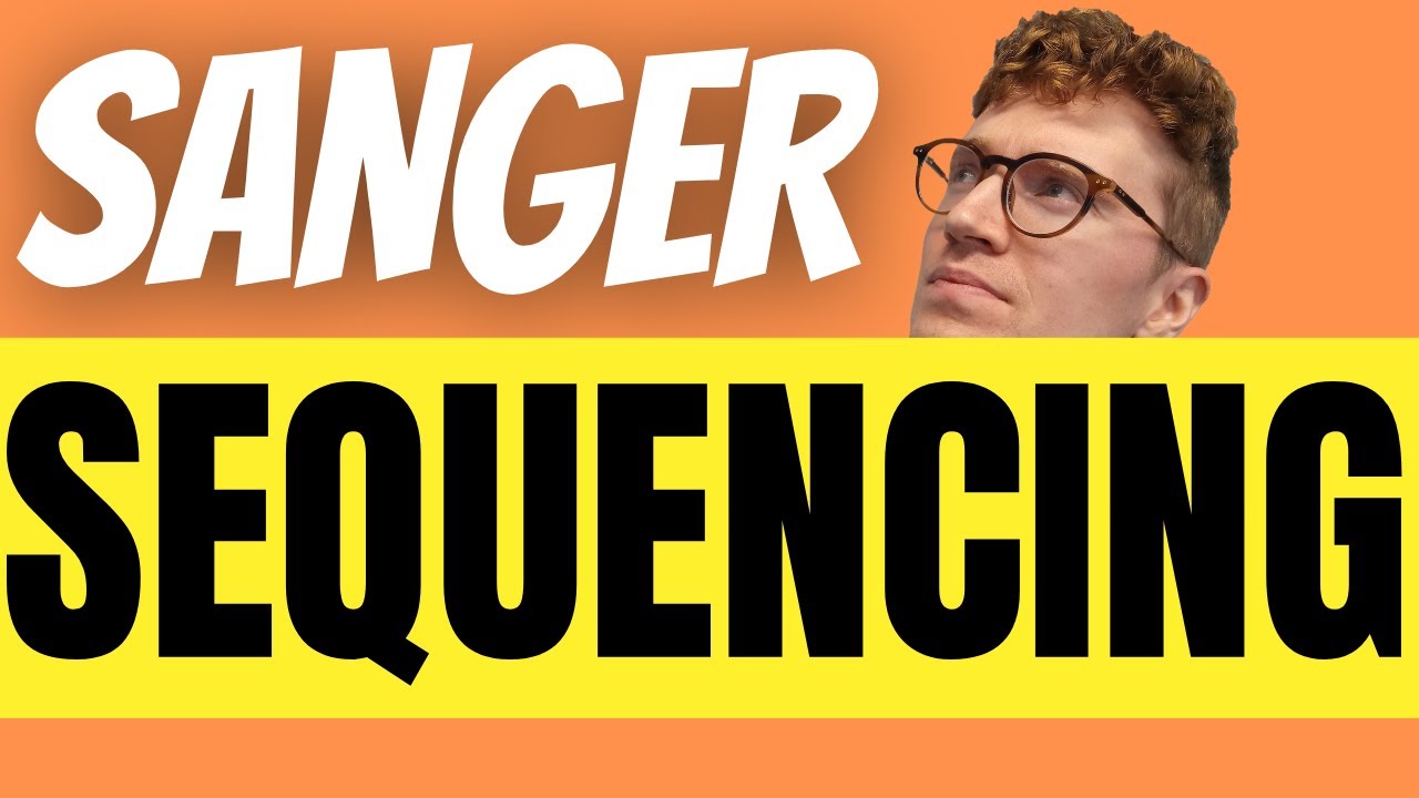 Sanger Sequencing Explained For Beginners