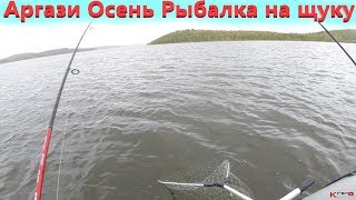 Рыбалка на аргазях 2020 что ловят