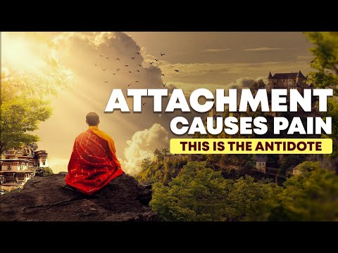 Attachment Is the Root of Suffering—Here’s the Cure | #mindbloomwisdom