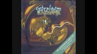Endgame - Cytoplasm