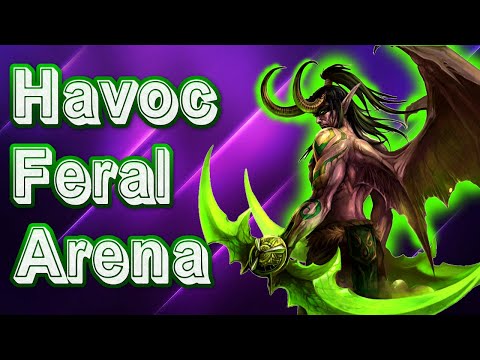Havoc DH PvP | DOUBLE DPS Arena | Feral Druid