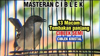 Download lagu Macam² TEMBAKAN panjang CIBLEK, Kombinasi SUARA ciblek kristal ngebren dan Ciblek semi Gacor mp3