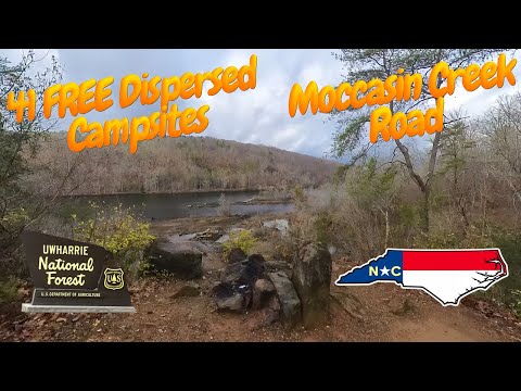 Moccasin Creek Road - 41 FREE Dispersed Campsites - Uwharrie National Forest - Troy North Carolina